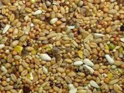 Tortelduivenvoer 20kg